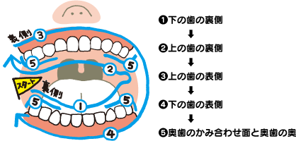 患者 原子炉 ステレオタイプ 歯磨き の 大切 さ 子ども Sasaki Hone Jp