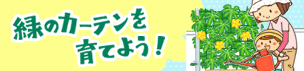 緑のカーテンを育てよう!