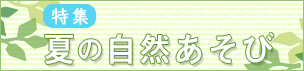 夏の自然あそび