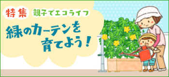 緑のカーテンを育てよう!