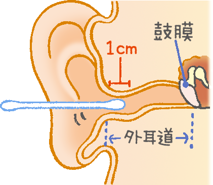 子育て医療コラム 耳かきは 入り口から1cm 学研 おやこcan