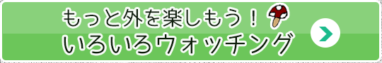 もっと外を楽しもう！いろいろウォッチング