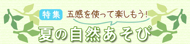 特集：夏の自然あそび